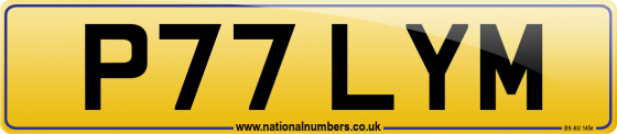 P77 LYM
