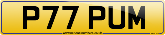 P77 PUM