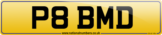 P8 BMD