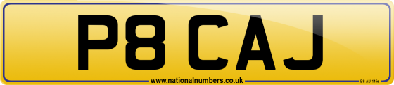 P8 CAJ