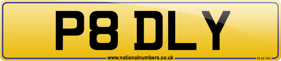 P8 DLY