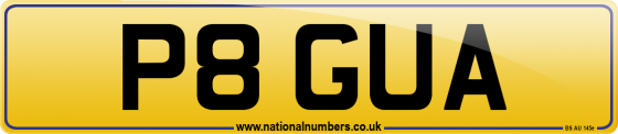 P8 GUA