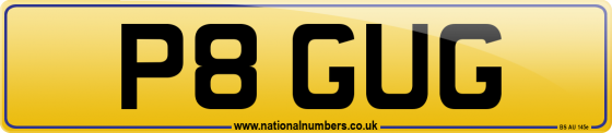 P8 GUG