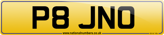 P8 JNO