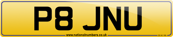 P8 JNU