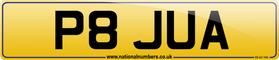 P8 JUA