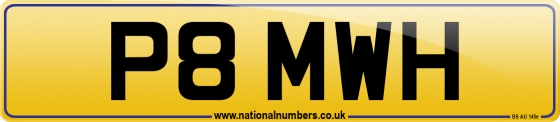P8 MWH