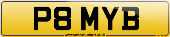 P8 MYB