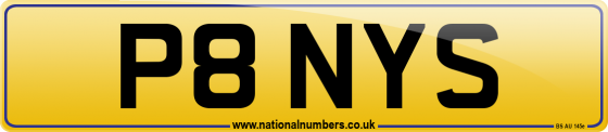 P8 NYS