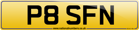 P8 SFN