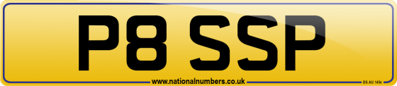 P8 SSP