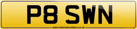 P8 SWN