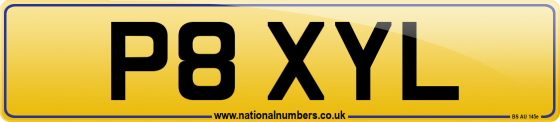 P8 XYL