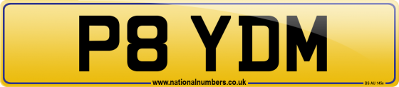 P8 YDM