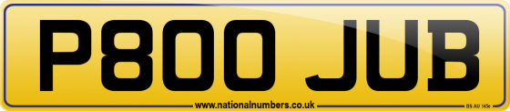 P800 JUB