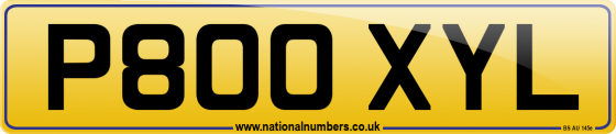 P800 XYL