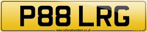 P88 LRG