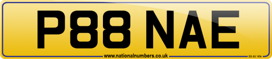 P88 NAE