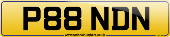 P88 NDN