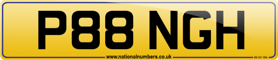 P88 NGH
