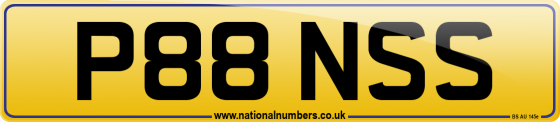 P88 NSS