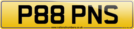 P88 PNS