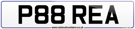 P88 REA