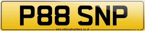 P88 SNP