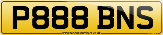 P888 BNS