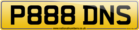 P888 DNS