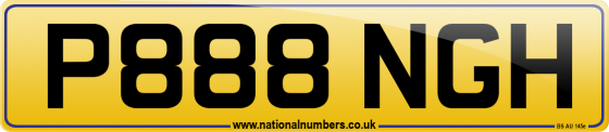 P888 NGH