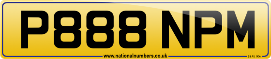 P888 NPM