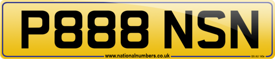 P888 NSN