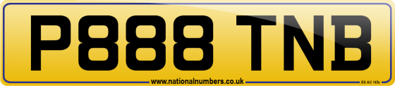 P888 TNB
