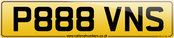 P888 VNS