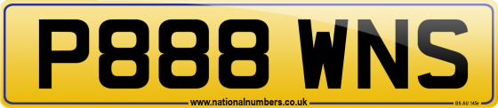 P888 WNS