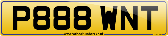 P888 WNT