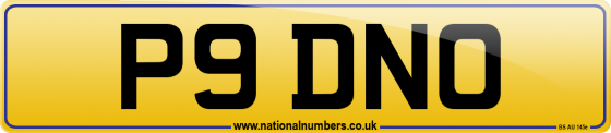 P9 DNO