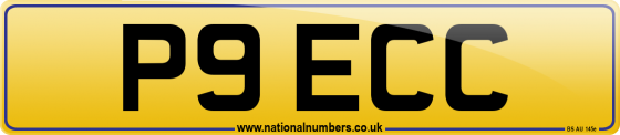 P9 ECC