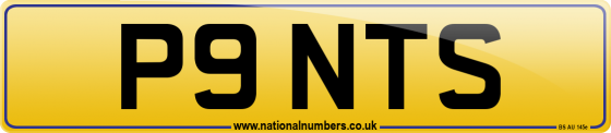 P9 NTS
