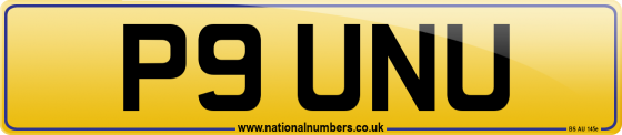 P9 UNU