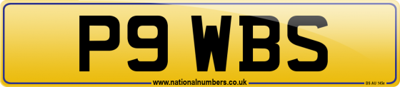 P9 WBS