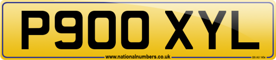 P900 XYL