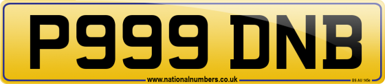 P999 DNB