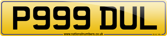 P999 DUL
