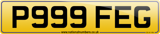 P999 FEG