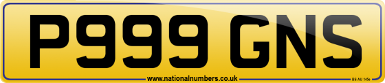 P999 GNS