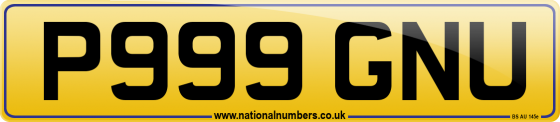 P999 GNU