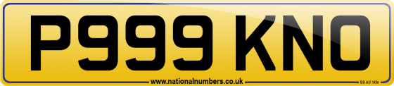 P999 KNO