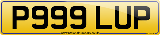 P999 LUP